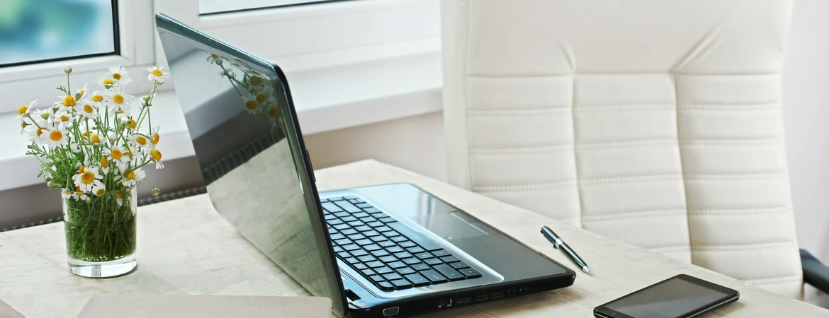 laptop i&nbsp;stokrotki